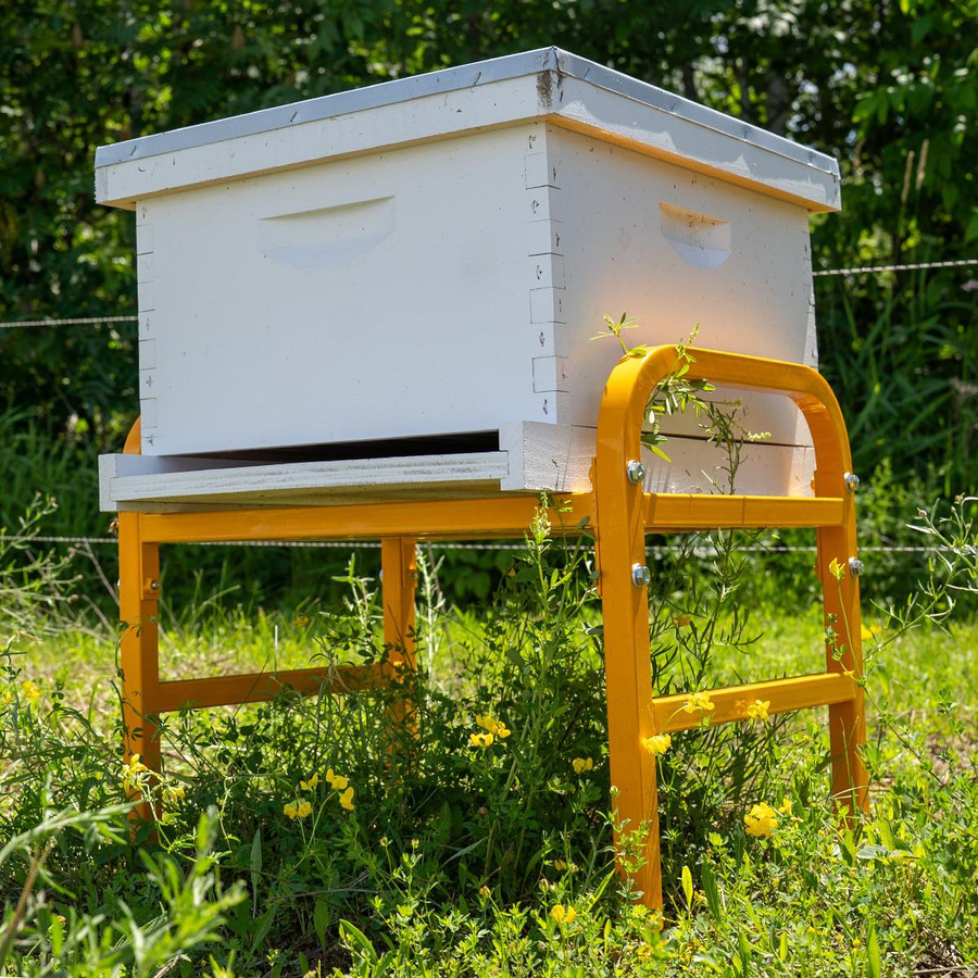 Premium Hive Stand,HD716, Mann Lake Ltd.