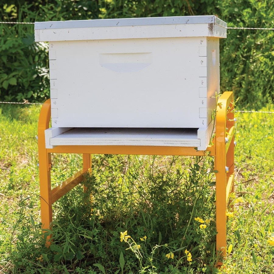 Premium Hive Stand,HD716, Mann Lake Ltd.