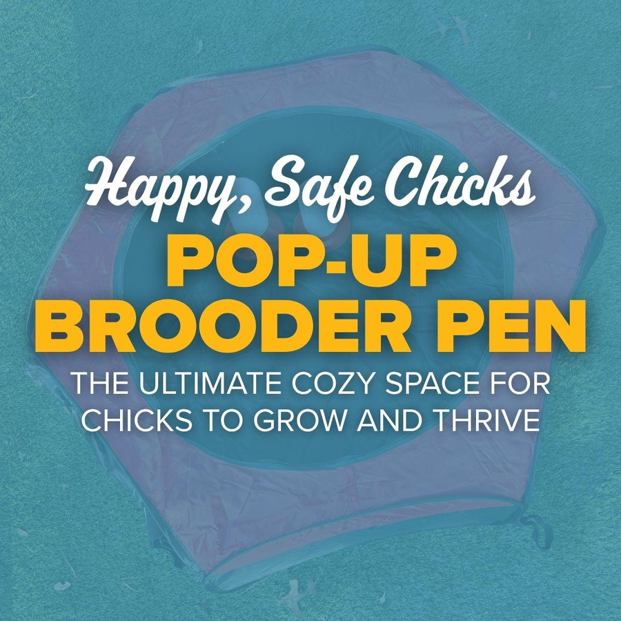 Chicken Brooder Pop-up Play Pen, PP604, Mann Lake Ltd.