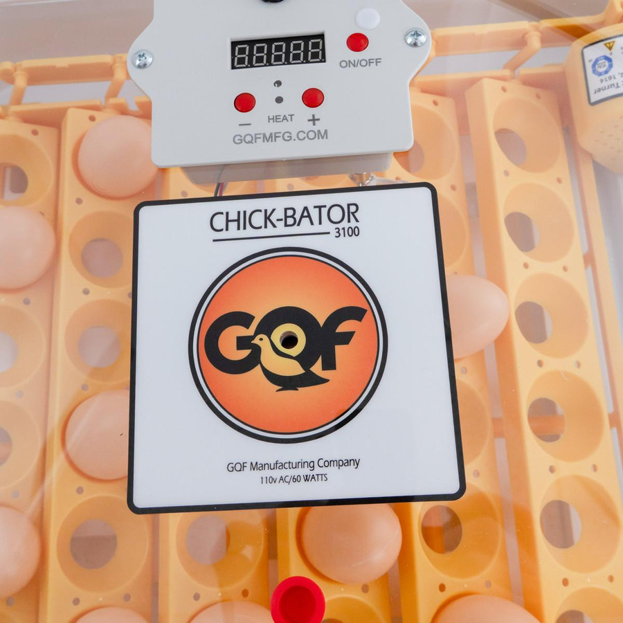 Chick-Bator