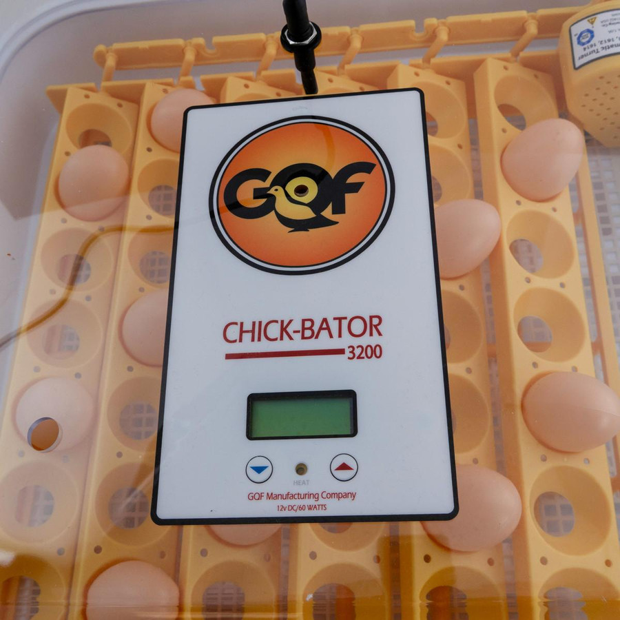 Chick-Bator CL