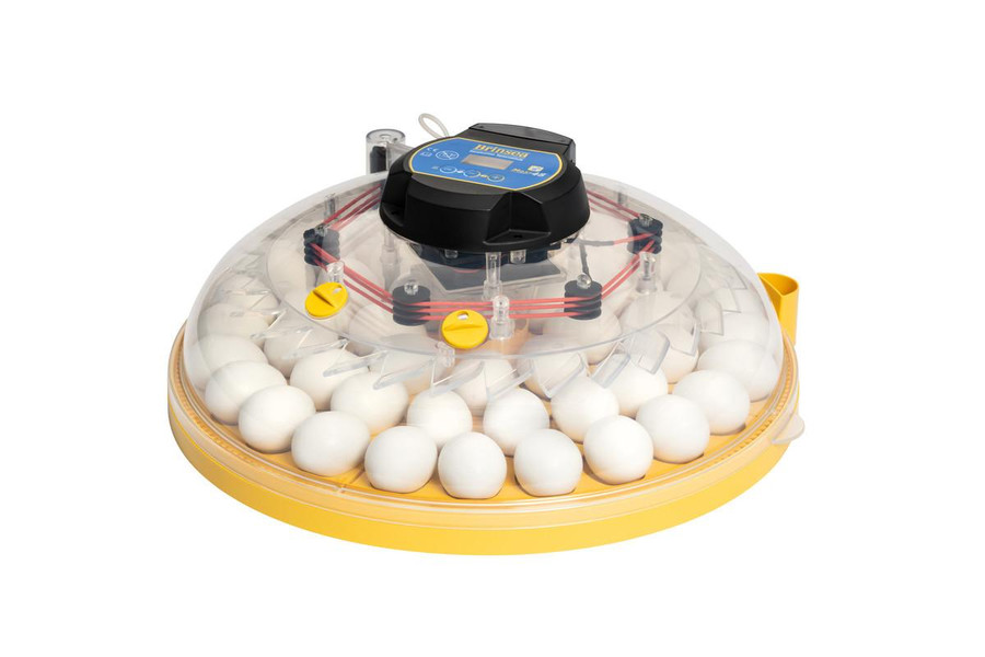 Brinsea® Maxi 48 EX Connect Tabletop Incubator