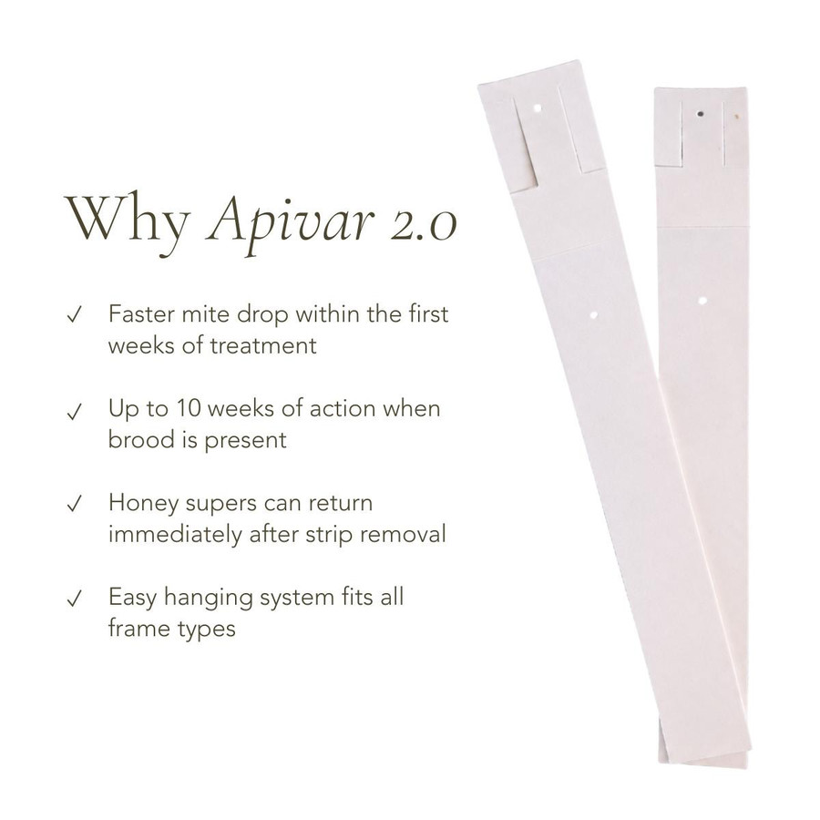 Apivar® 2.0, 60 Strips, DC813, Mann Lake Ltd.