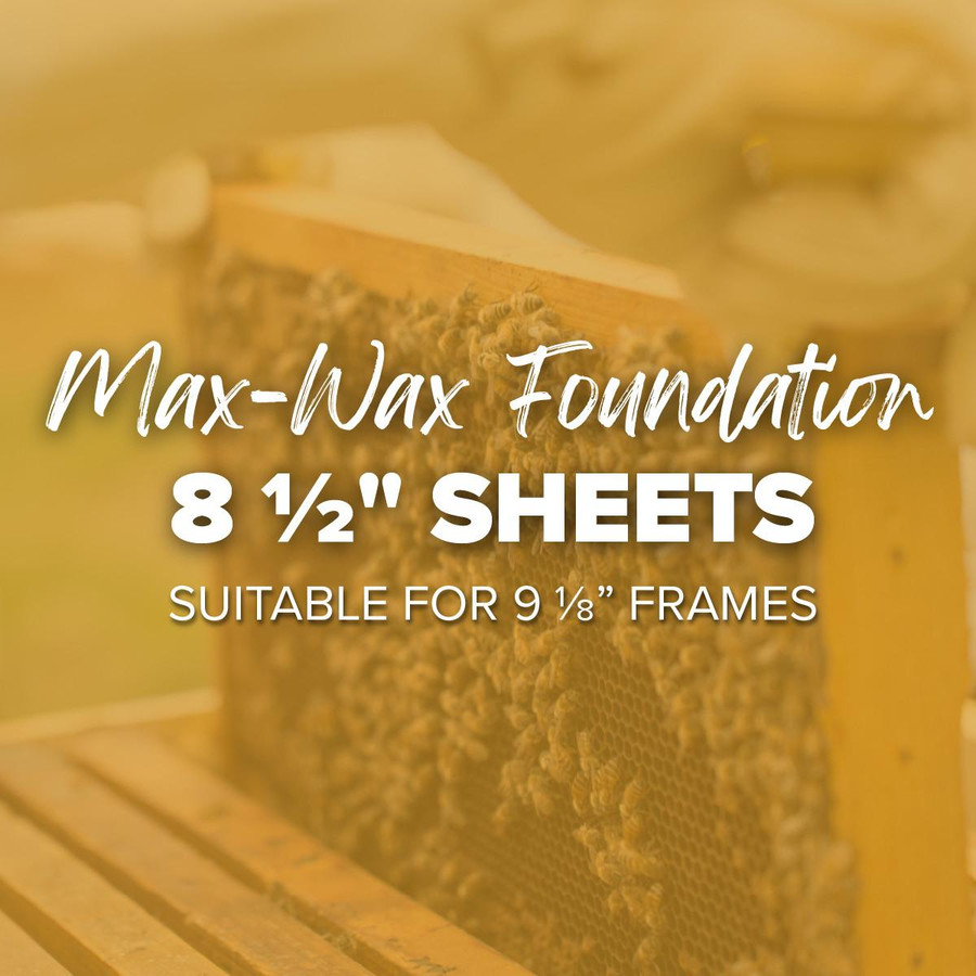 8 1/2" Natural Max Wax Rite-Cell Premium Foundation, Natural,Z654, Mann Lake Ltd.