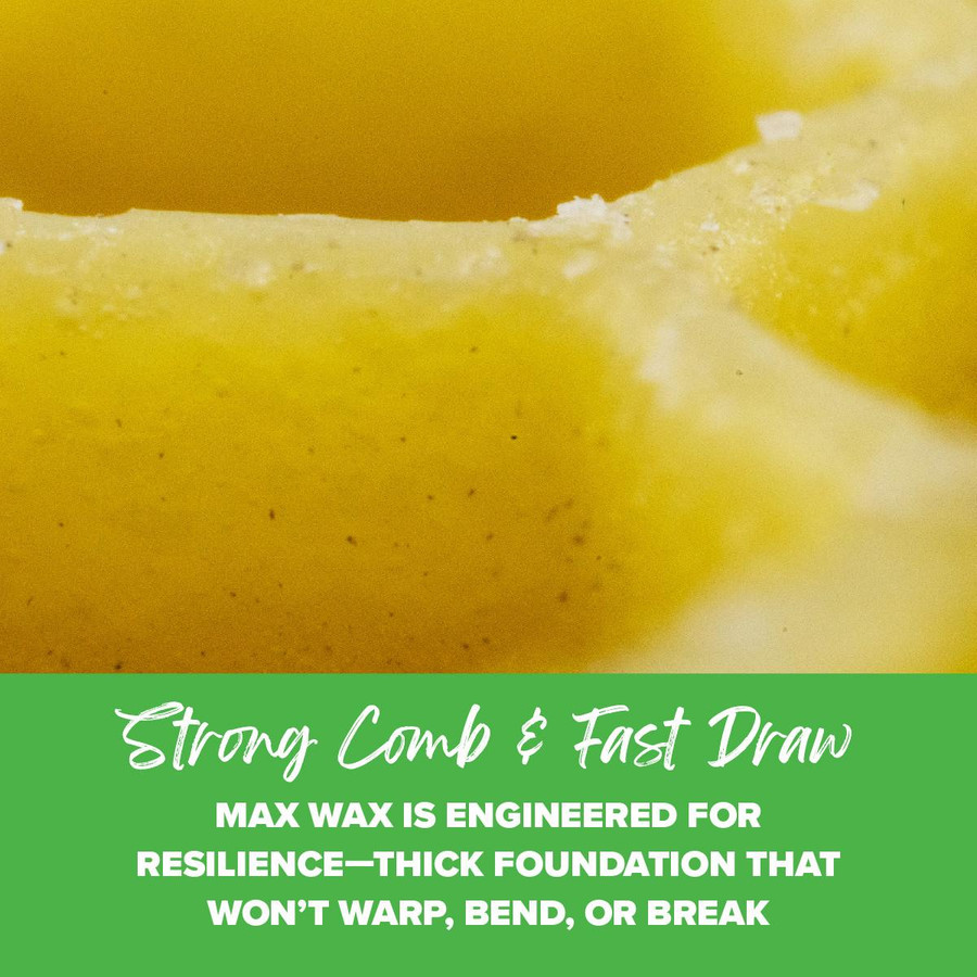 5 5/8" Natural Max Wax Rite-Cell Premium Foundation, Case of 100,FN821, Mann Lake Ltd.