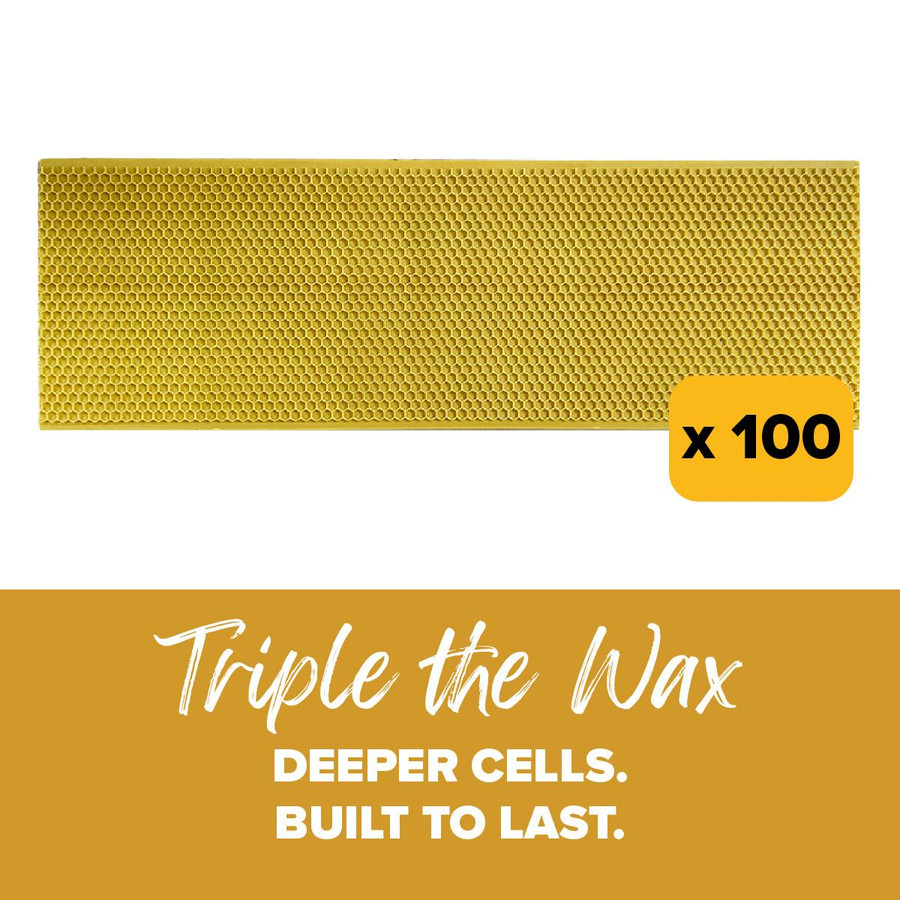 5 5/8" Natural Max Wax Rite-Cell Premium Foundation, Case of 100,FN821, Mann Lake Ltd.