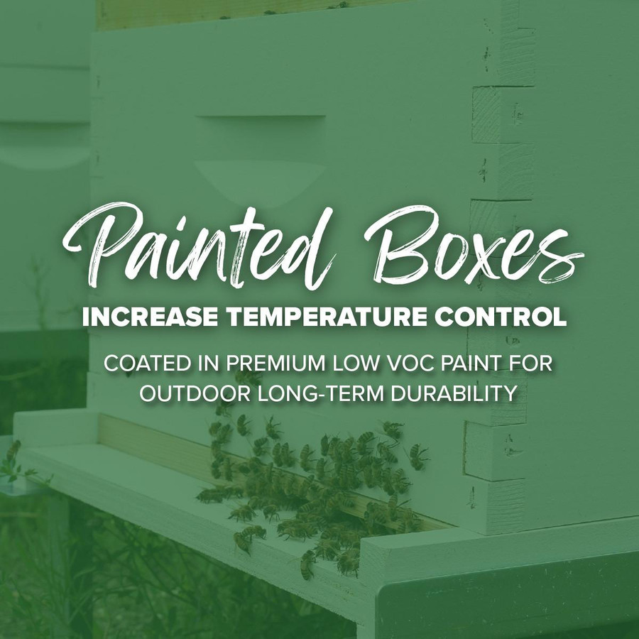 Assembled 9 5/8" 10 Frame Deep Hive Body with Assembled Frames and Max Wax Rite-Cell Premium Foundation, Pallet of 54