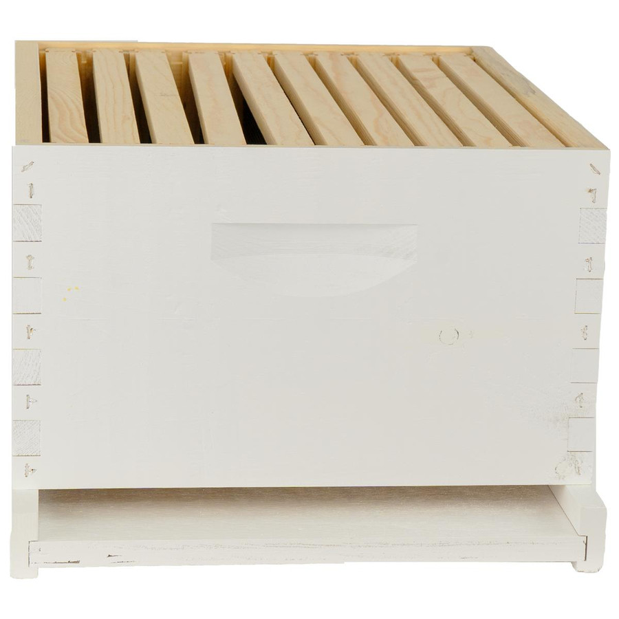 Assembled 9 5/8" Deep Hive Kit with Plastic Coated Foundation and Assembled Frames,Z194, Mann Lake Ltd. Assembled 9 5/8" Deep Hive Kit with Plastic Coated Foundation and Assembled Frames,Z194, Mann Lake Ltd.