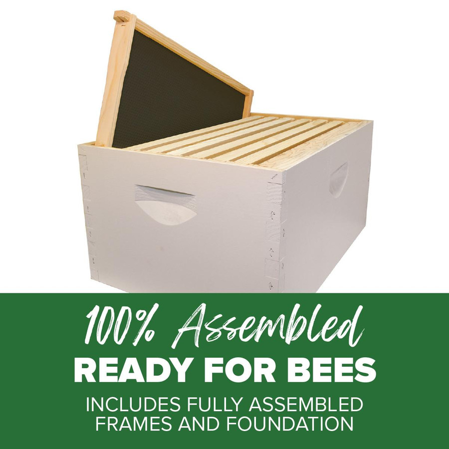 Assembled 9 5/8" Deep Hive Kit with Plastic Coated Foundation and Assembled Frames,Z194, Mann Lake Ltd.