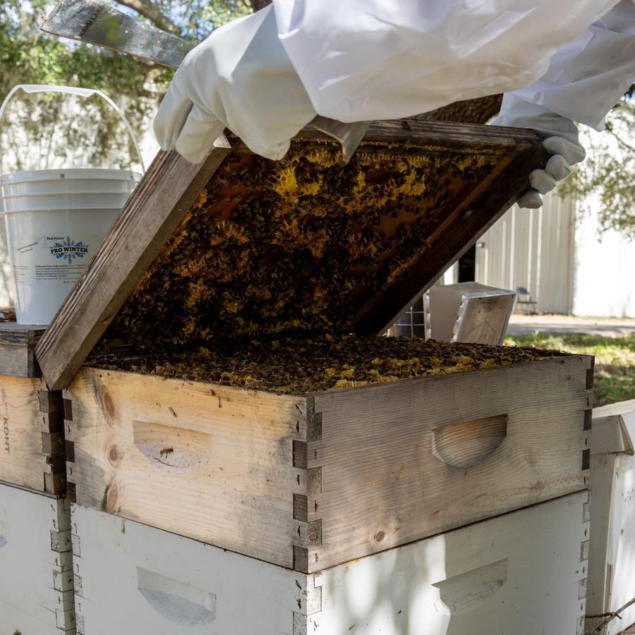 Assembled 6 5/8" Super Kit with Assembled Frames and Waxed Plastic Foundation,Z196, Mann Lake Ltd.