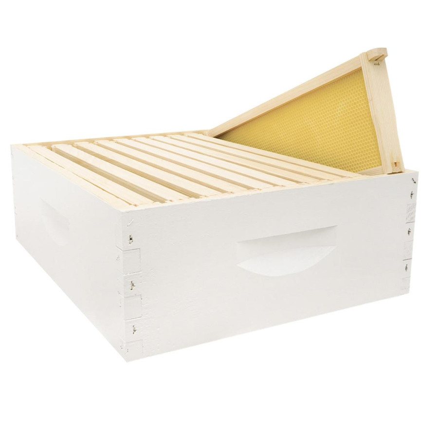 Assembled 6 5/8" Super Kit with Assembled Frames and Waxed Plastic Foundation,Z196, Mann Lake Ltd.