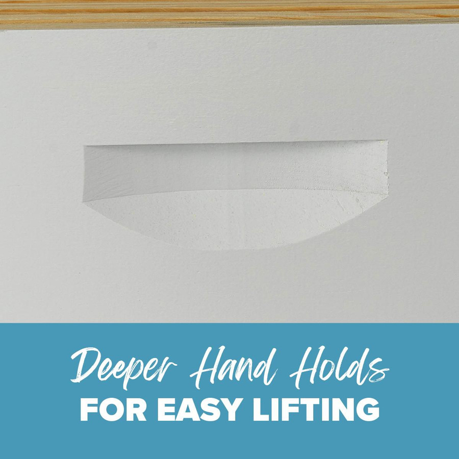 Assembled 6 5/8" Super Kit with Assembled Frames and Waxed Plastic Foundation,Z196, Mann Lake Ltd.