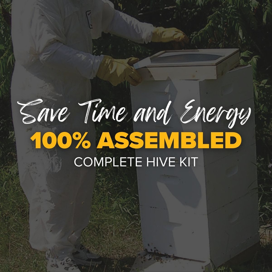 Traditional Growing Apiary Kit, Z200, Mann Lake Ltd.