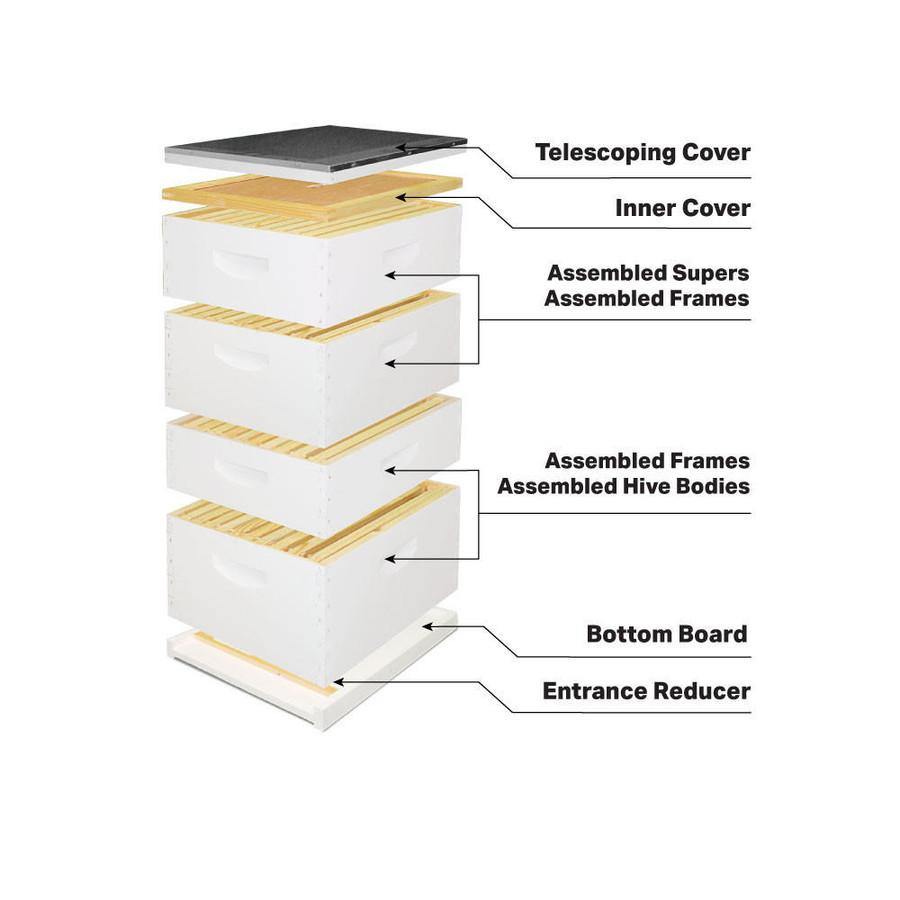 How Do Bees Communicate - Mann Lake Bee & Ag Supply