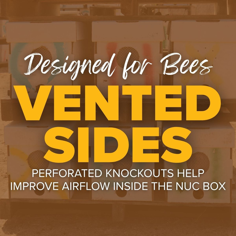 White Waxed Corrugated Cardboard Nuc Box,NB250, Mann Lake Ltd.