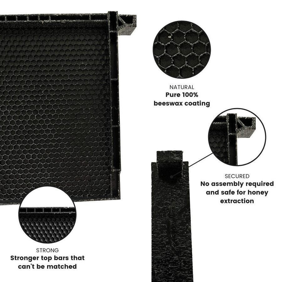 6 1/4" Waxed Standard Plastic Frame - Black,Z218, Mann Lake Ltd. 6 1/4" Waxed Standard Plastic Frame - Black,Z218, Mann Lake Ltd.