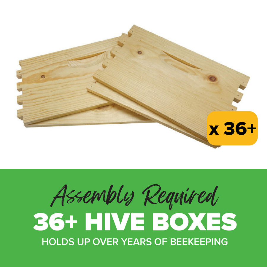 Bulk Unassembled 9 5/8" Commercial Grade Deep Hive Box, 36+ Boxes,Z816, Mann Lake Ltd.