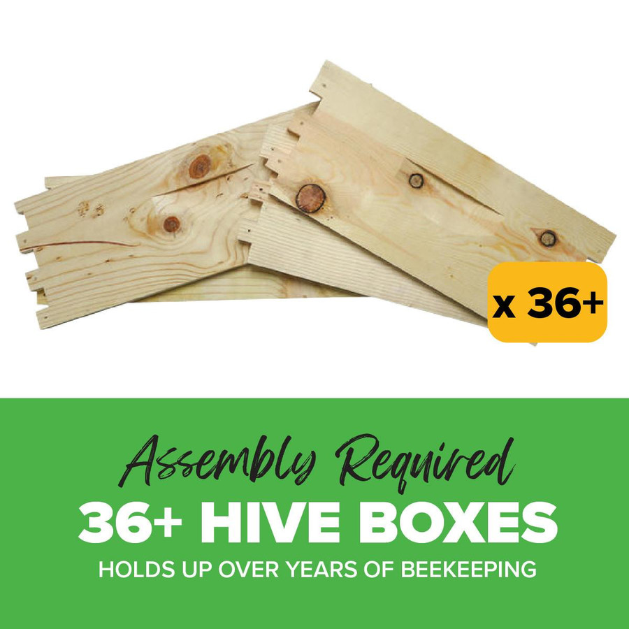 Bulk Unassembled 6 5/8" Budget Grade Medium Super, 36+ Boxes,Z815, Mann Lake Ltd.