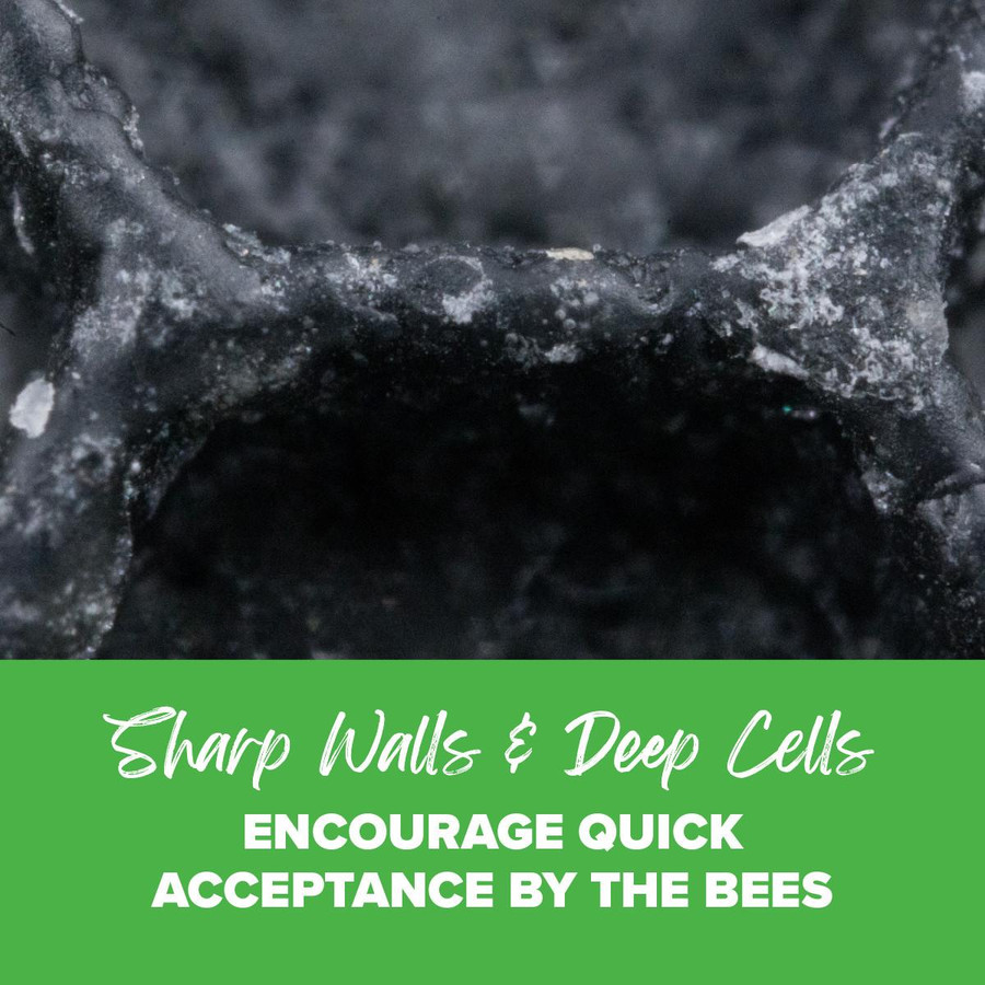 8 1/2" Waxed Rite-Cell Foundation, Natural or Black, Case of 100,Z248, Mann Lake Ltd.