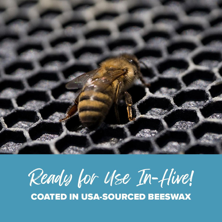 5 5/8" Waxed Rite-Cell Foundation, Natural or Black, Case of 100,Z249, Mann Lake Ltd.