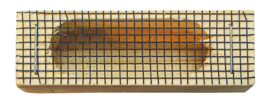 California Mini Queen Cages,Z256, Mann Lake Ltd.