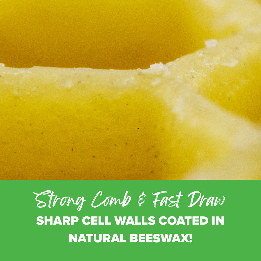 9 1/8" Natural Assembled Frames with Waxed Rite-Cell® Foundation, case of 20,WW905, Mann Lake Ltd.