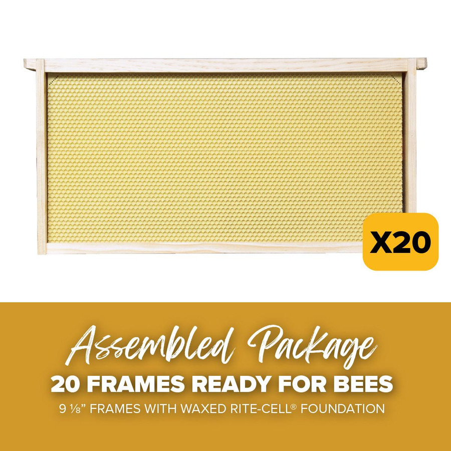 9 1/8" Natural Assembled Frames with Waxed Rite-Cell® Foundation, case of 20,WW905, Mann Lake Ltd.