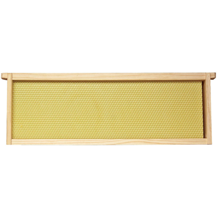 6 1/4" Natural Assembled Frames with Waxed Rite-Cell® Foundation, case of 20,WW928, Mann Lake Ltd. 6 1/4" Natural Assembled Frames with Waxed Rite-Cell® Foundation, case of 20,WW928, Mann Lake Ltd.