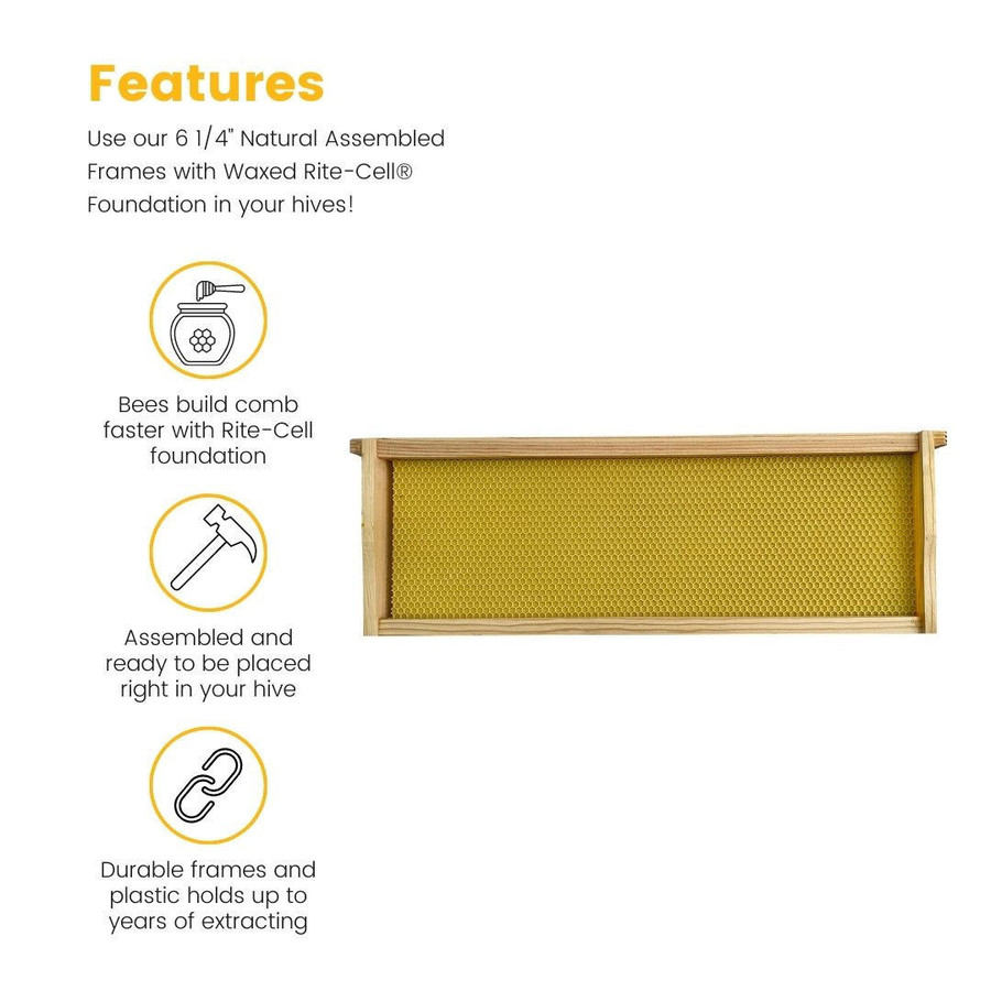 6 1/4" Natural Assembled Frames with Waxed Rite-Cell® Foundation, case of 20,WW928, Mann Lake Ltd. 6 1/4" Natural Assembled Frames with Waxed Rite-Cell® Foundation, case of 20,WW928, Mann Lake Ltd.
