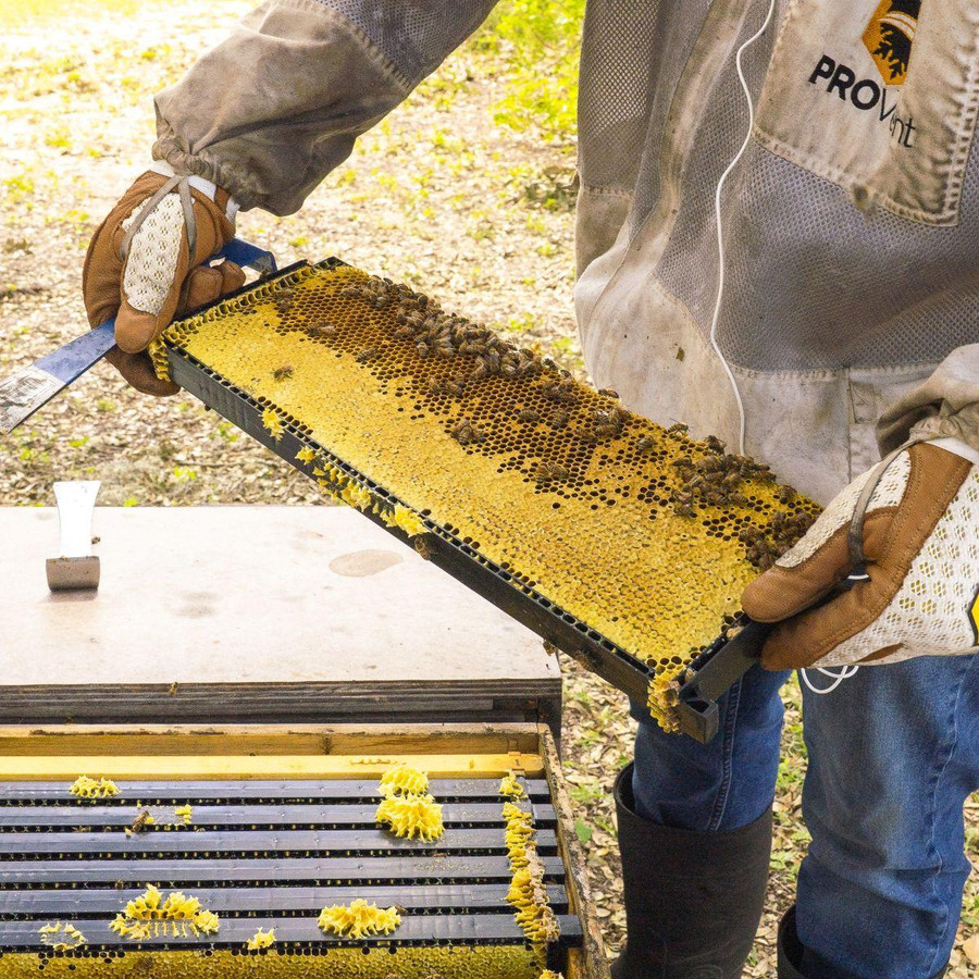 9 1/8" Waxed Standard Plastic Frame - Case of 30,Z268, Mann Lake Ltd.