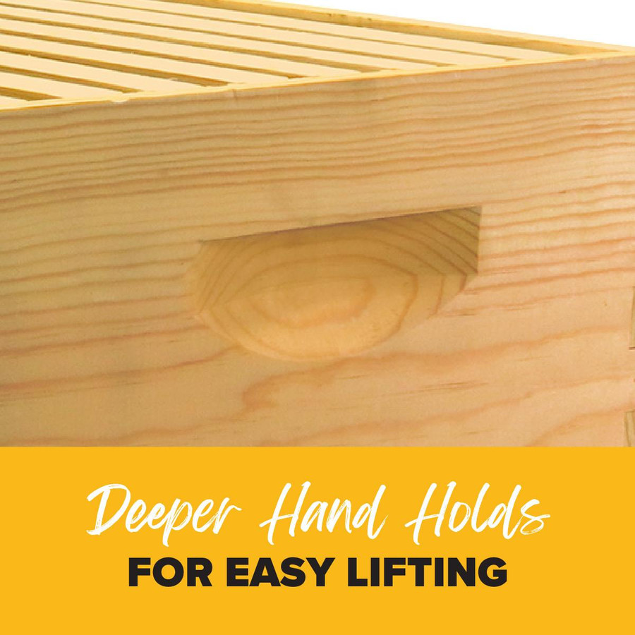 10 Frame 9 5/8" Unassembled Complete Hive Kit With Foundation,KD100, Mann Lake Ltd.