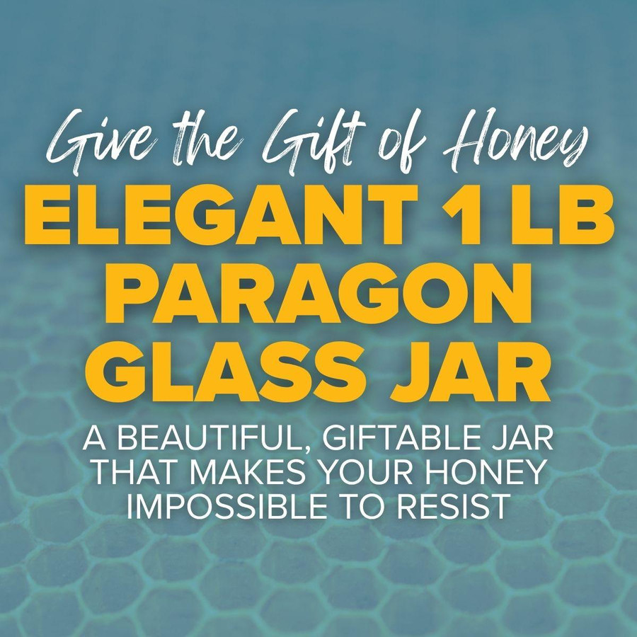 Paragon Glass Jar 1 lb (454 g) - 12 pack,CN142, Mann Lake Ltd.