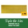 5 5/8" Natural Max Wax Rite-Cell Premium Foundation, 10 pack,FN721, Mann Lake Ltd.