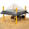 Comfort Chick Brooders