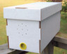 5 Frame Purebred Russian Nuc - Clarkson, KY - Pickup Only,BE324 PU, Mann Lake Ltd.