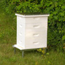 10 Frame 6 5/8" Growing Apiary Kit,Z533, Mann Lake Ltd.