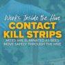 Apistan Anti-Varroa Mite Strip, 10 pack,DC665, Mann Lake Ltd.