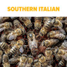 Southern Italian Package Bees, BE305, Mann Lake Ltd.