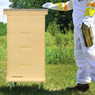 DIY My Next Hive, Unassembled, MB100, Mann Lake Ltd.
