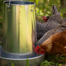 Metal Hanging Poultry Feeder - 44 LB
