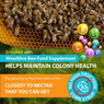 HiveAlive. EZ Feed Super Syrup, 2.5 Gallon, DC147, Mann Lake