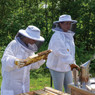 Vented Beekeeping Suit With Clear Vue Veil