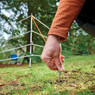 Portable Bear Fence Kit