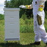 Traditional Growing Apiary Kit, Z200, Mann Lake Ltd.