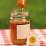 Pint (680.38 g) Mason Jars - 12 pack,CN123, Mann Lake Ltd.