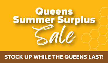 Summer Surplus sale on Live Queen Bees