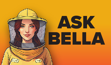 Bella Beekeeping