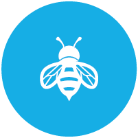 Report an Issue with Your Bees