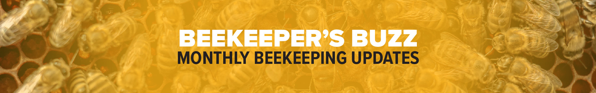 Beekeeper's Buzz - Monthly Beekeeping Updates