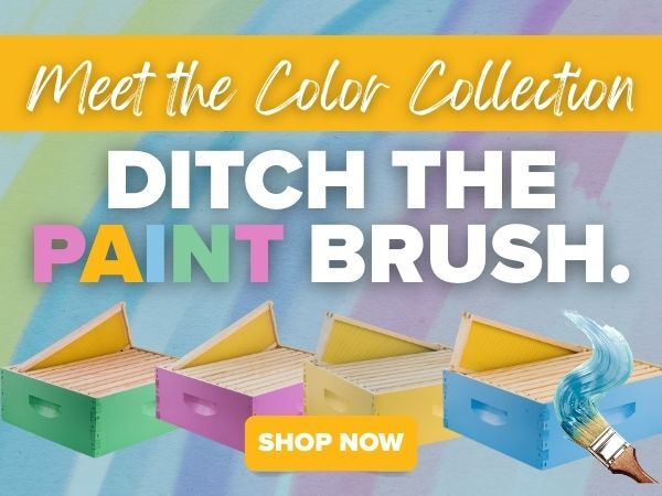 New Color Collection Hive Kits!